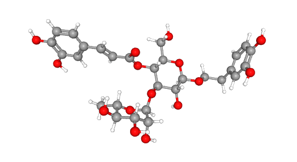 Acteoside