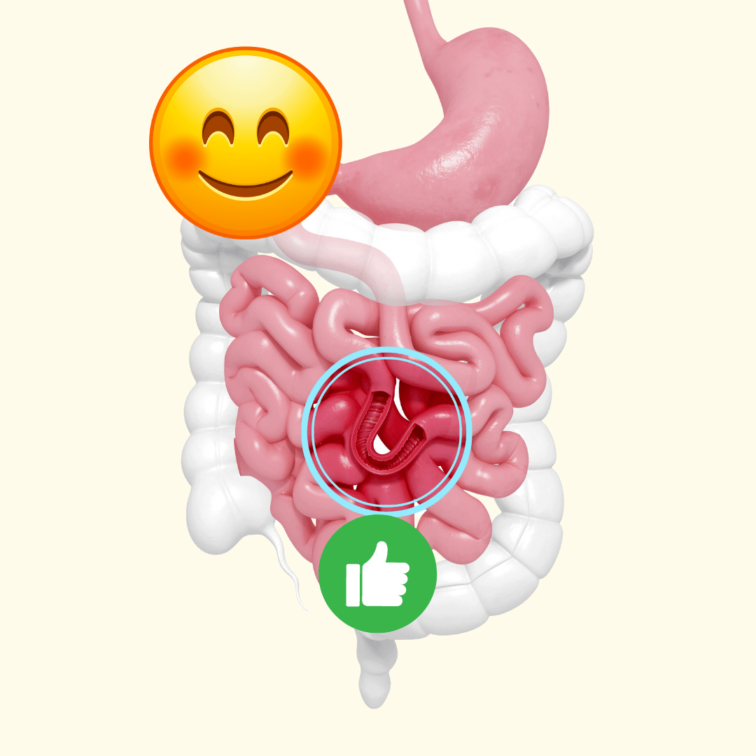Aiuta anche l'intestino